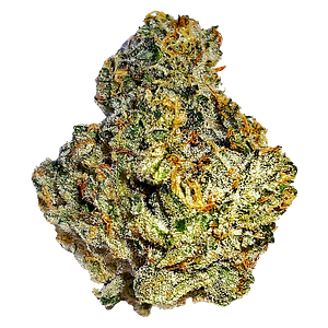 Cannabis Cartel Quads - Motorbreath 15