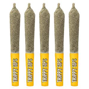 Trippy Sips - Caribbean Crush Kief Coated Infused Pre Roll
