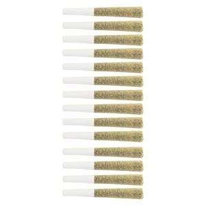 The Loud Plug - Platinum Punch Pre Roll