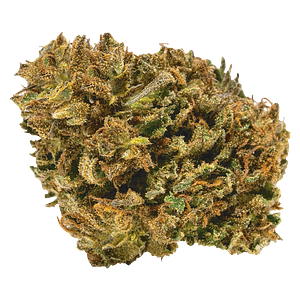 Catch Me Outside - Power Nap