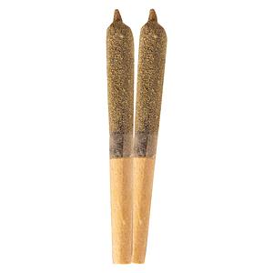 Ripped - Infused Tropical Punch Infused Pre Roll