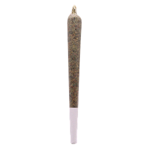 Oceanic Premium - Black Cookies Pre Roll