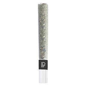 Pistol and Paris - Bubble Hash Infused Pre-Roll