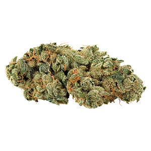 Big Bag O' Buds - Tropical Cookies