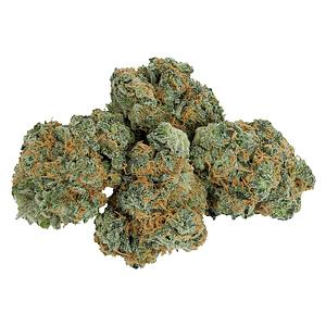 Little Leaf - Stratford's Craft Flower Experience