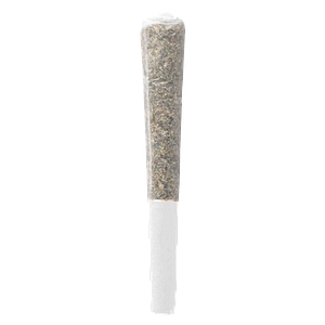 HER.B - Live Bloom Infused Pre-Roll