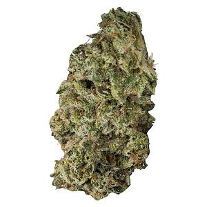 Contraband - DBL Dutch