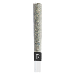 Pistol and Paris - Lindsay Og Bubble Hash Infused Pre Roll