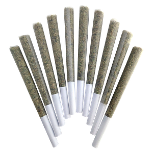 BC Doobies - Blue Maui Pre Roll