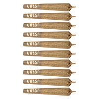 Qwest 35's - P.S. Cheetah Pre-roll