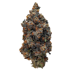 Rocket Factory - Interstellar Stash