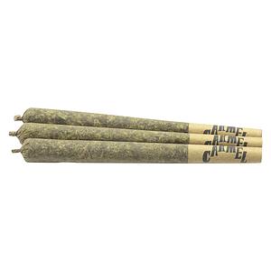 Carmel - Astronaut Status Pre Roll
