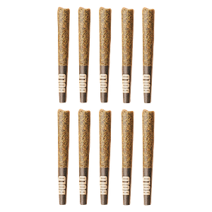 BOLD - Peachy Pie Pre Roll