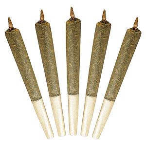 Buddy Blooms - Big Buddy Sativa Pre Roll