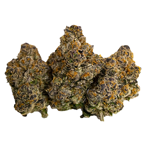 Royal Cannabis Supply Co. - White Hot Guava