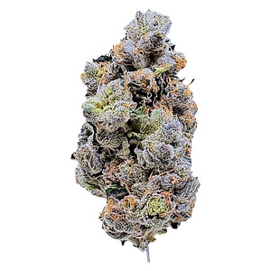 LaHoja - Platinum Blue Gellati