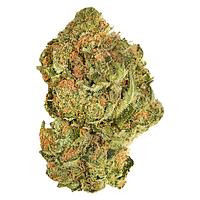 Good Supply - Brand New Buds