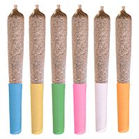 Station House - Canadian Classics Variety 6 Pack Pre-Roll