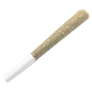Bullrider - Afghani Bullrider Pre-roll