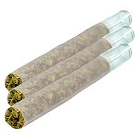 Puff Paradise - Magik Dragon Glass Tip Pre Roll