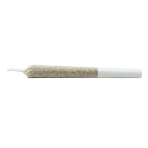 Daily Special - Indica Js Pre Roll