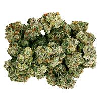 Starting Point! - Frenchy Macaroni