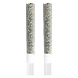 3rd Coast Genetics - Gold Cash Gold & Pure Michigan Glass Tip Pre-Roll Mix Pack