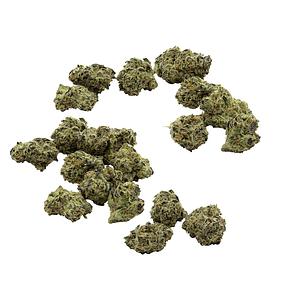 Purple Hills Presents - O