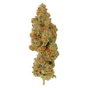 Rocket Factory - Facetz