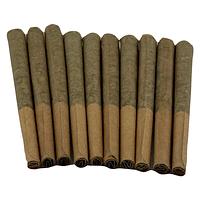 Buzz'd - Exotic Stingerz Pre-Rolls