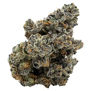 Pistol and Paris - Blackberry Breath