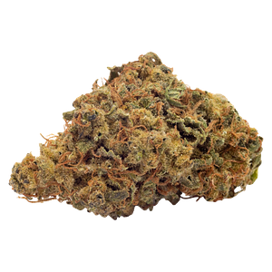 FIGR - Go Play Coastal Sage