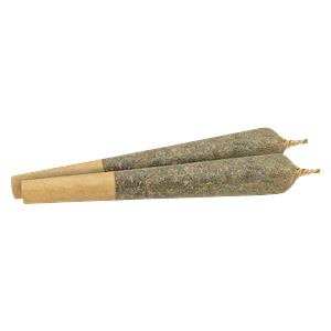 Ripped - Infused Concord Grape Infused Pre Roll