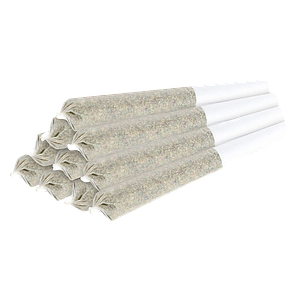 MSIKU - The Tenner Pre-Roll