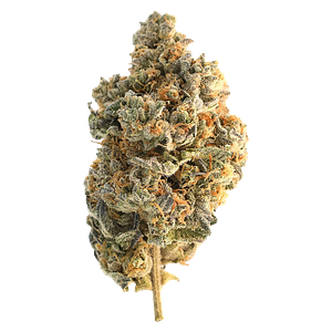 Encore - Hybrid Greatest Hits Vol. 1