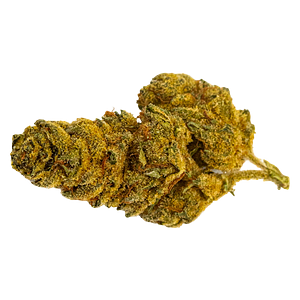 Dykstra Greenhouses - Wreck & Leisure