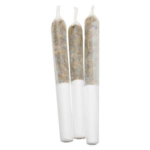 Lamplighter - P.O.G. Infused Pre Roll