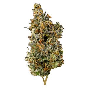 Top Leaf - Nakatomi Plaza