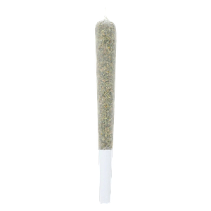 Lamplighter - Lychee Bubble Tea Infused Pre Roll