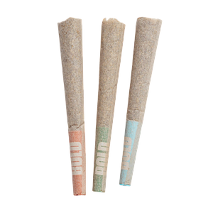 BOLD - Craft Sampler Pre Rolls