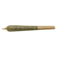 Mailman - Oreoz x Orange Punch Pre-Roll