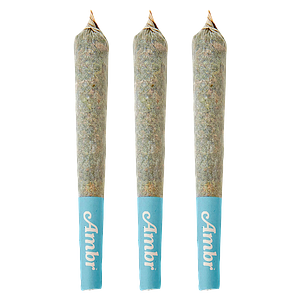 AMBR - Infused GLTO Pre-Roll Pack