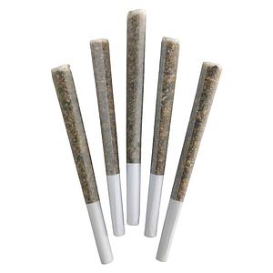 DEALR - Iced Zuchi Pre Roll