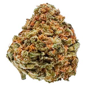 Potluck - Banana Cream