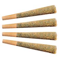 Fuego - Sunny Daze Pre Roll