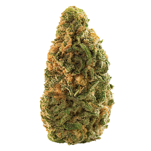 Spinach - Blue Dream