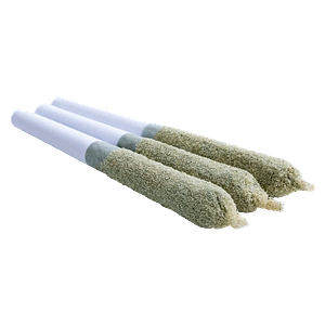 Super Toast - Shark Bite Toasters Infused Pre-roll