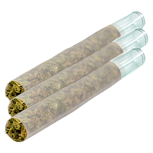 Puff Paradise - Magik Dragon Glass Tip Pre Roll