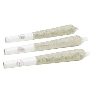 Daku - Gelato #4 Pre-Rolls