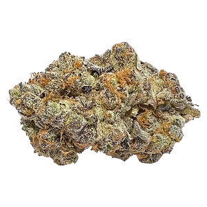 Cactus - Peachy Keen